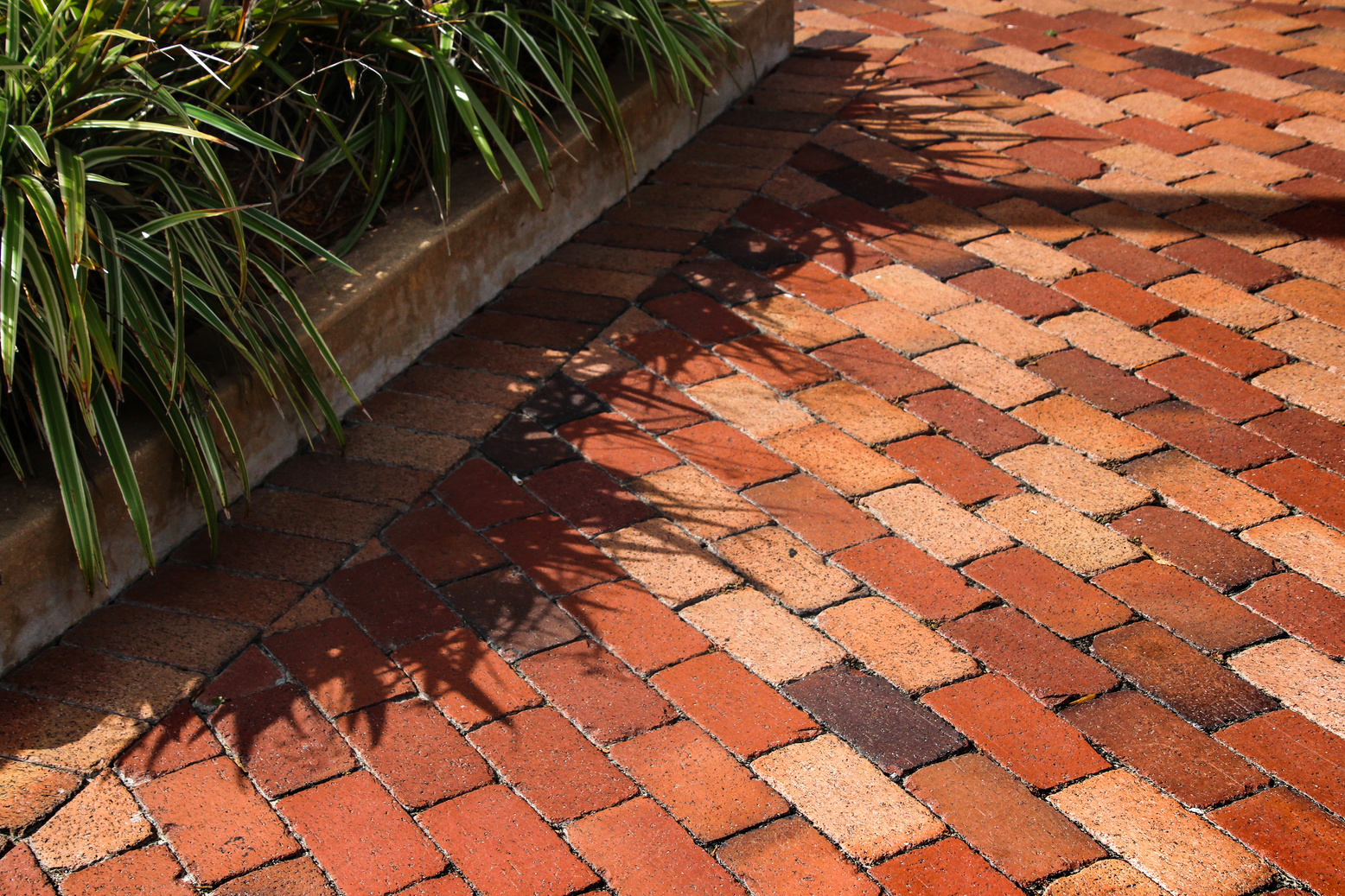 paver bricks